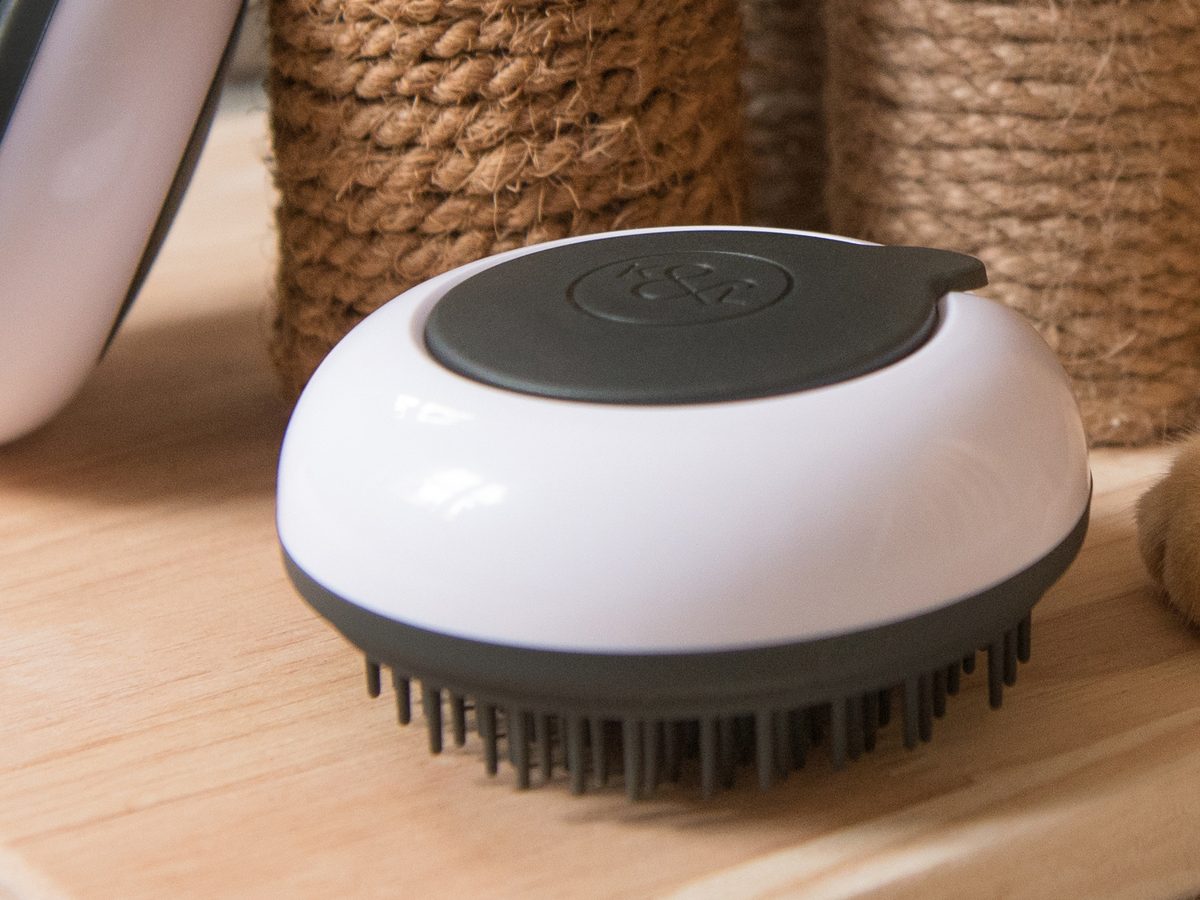 The BrushPod cat grooming product on a wooden board, with a ginger cat resting nearby
